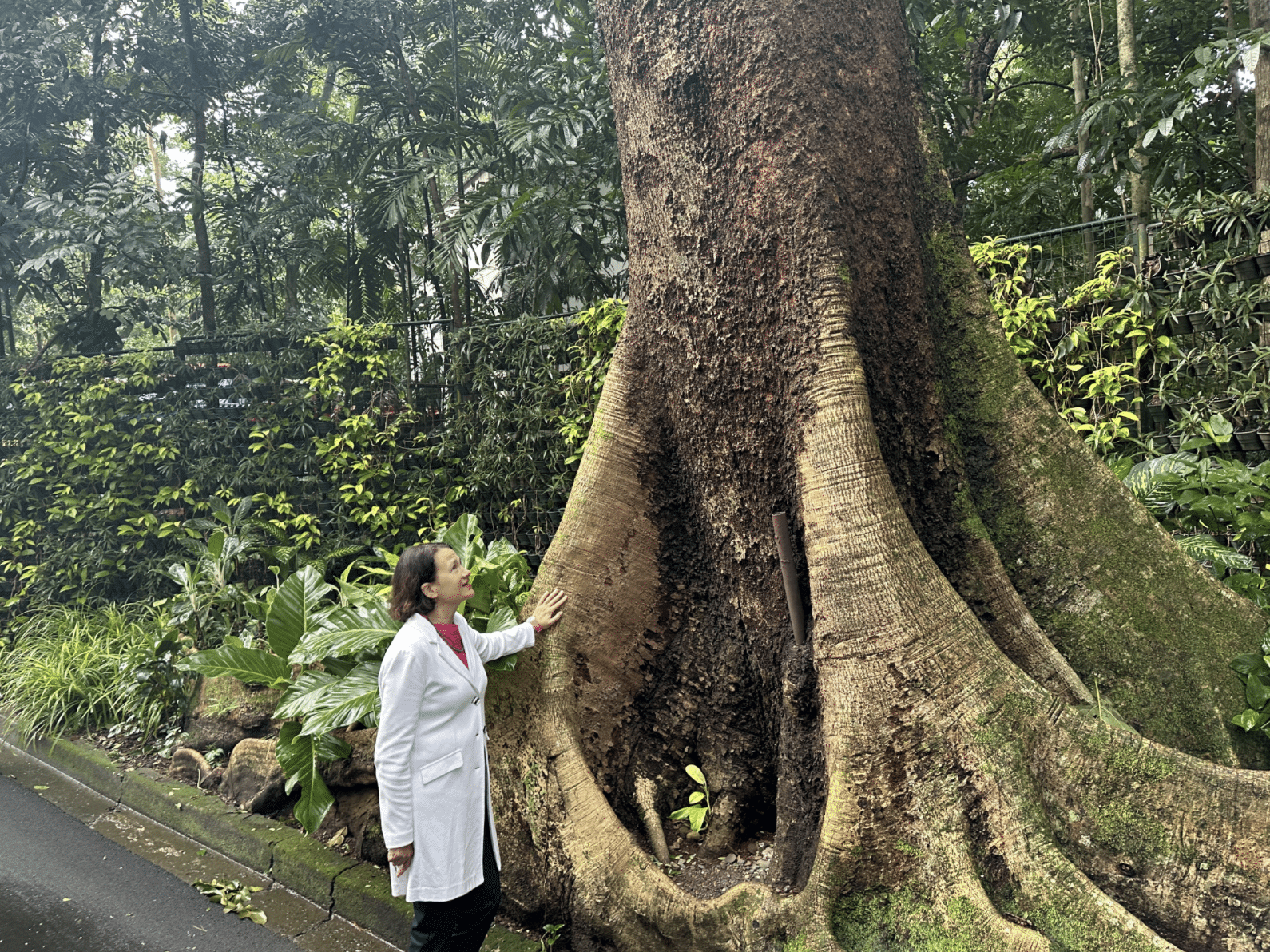 The Manila Water Foundation team, the La Mesa Ecopark Management, and NGO partners joined UK Minister Catherine West and UK Ambassador to the Philippines Laure Beaufils in a guided tour of the La Mesa Ecopark, a haven of biodiversity in the city.